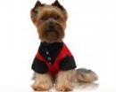 Ubranka dla psów koszulka fleur-de-lis czerwona