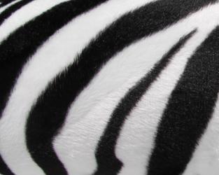 Sofa biało-czarna zebra