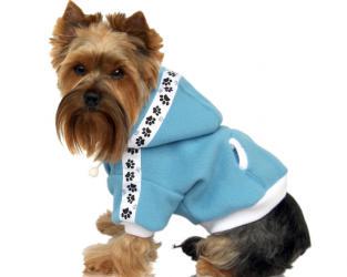 Ubranka dla psów bluza dresowa błękitna
