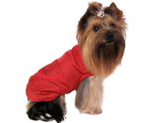 Ubranka dla psów "czerwona pelerynka"