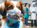 Czy psy mogą zarazić się koronawirusem SARS-CoV-2?