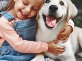 Jaki Pies Dla Dzieci | Jak Wybrać Idealnego Psa dla Dzieci