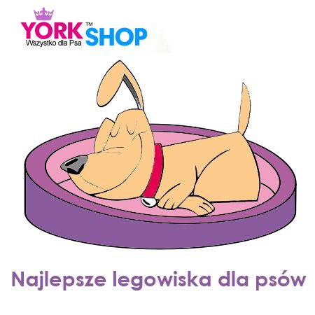 legowiska dla psa i kota York Shop