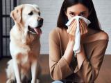 Psy dla alergików: Przewodnik po psach dla osób z alergią