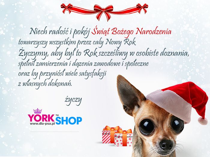 Kartka ubranka dla psów York Shop