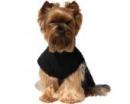 Czarna koszulka dla psa Rock Star
