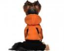 Dresik dla psa pomarańczowo-czarny