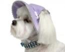 Fioletowy kapelusz dla psa
