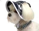 Granatowo-biały kapelusz dla psa