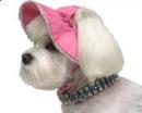 Różowy kapelusz dla psa