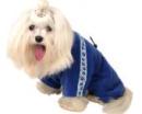 Ubranka dla psów z polaru niebieskie sport