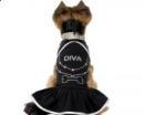 Ubranko dla psa sukienka dla psa czarna DIVA