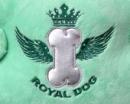 Zimowa torba dla psa Royal Dog pistacjowa