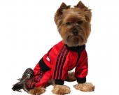 Czerwono-czarny dres Adidog