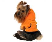 Ubranie dla psa dresik pomarańczowy