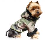 Kurtka militarna dla małego psa