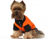 Ubranka dla psów koszulka fleur-de-lis pomarańczowa