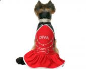 Ubranko dla psa sukienka dla psa czerwona DIVA