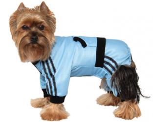 Błękitny dres Adidog