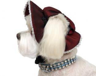 Bordowy kapelusz dla psa