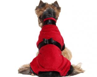 Czerwona piżamka dla psa