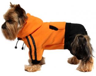 Dresik dla psa pomarańczowo-czarny