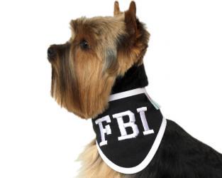 Haftowana apaszka dla psa FBI