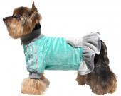Miętowo-popielata sukienka z futerka dla psa