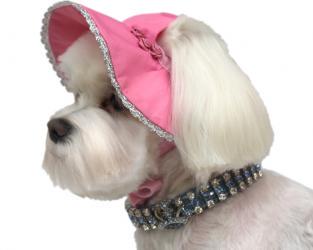 Różowy kapelusz dla psa