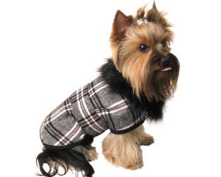Ubranie dla psa płaszczyk kratka