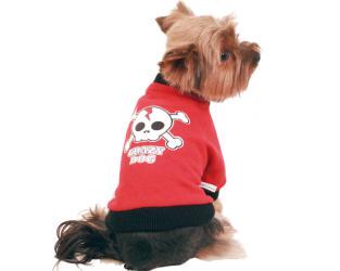 Ubranka dla psów dres bawełniany czerwony Crazy Dog I
