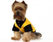 Ubranka dla psów koszulka fleur-de-lis żółta