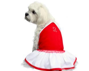 Ubranka dla psów sukienka czerwona