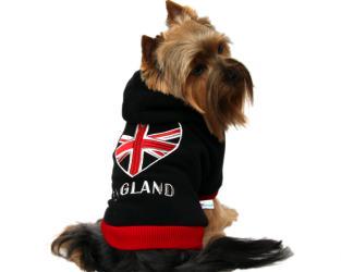 Ubranko dla psa bluza dresowa I love England
