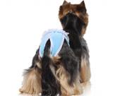 Welurowe majtki dla psa błękitne